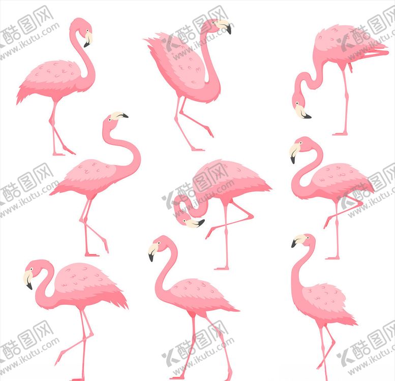 编号：41704910061734156048【酷图网】源文件下载-火烈鸟