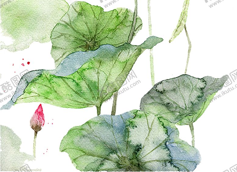 编号：41531209251816439597【酷图网】源文件下载-绿色装饰