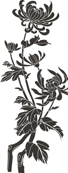 菊花