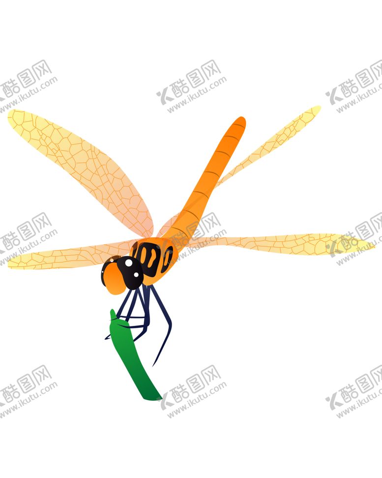 编号：67252010032332355837【酷图网】源文件下载-蜻蜓