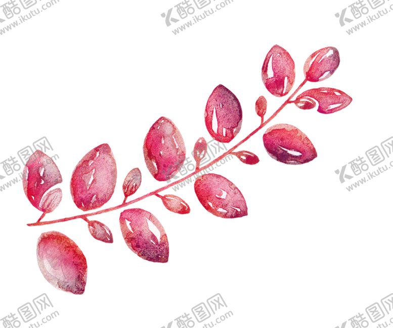 编号：12476705131149343579【酷图网】源文件下载-水彩植物