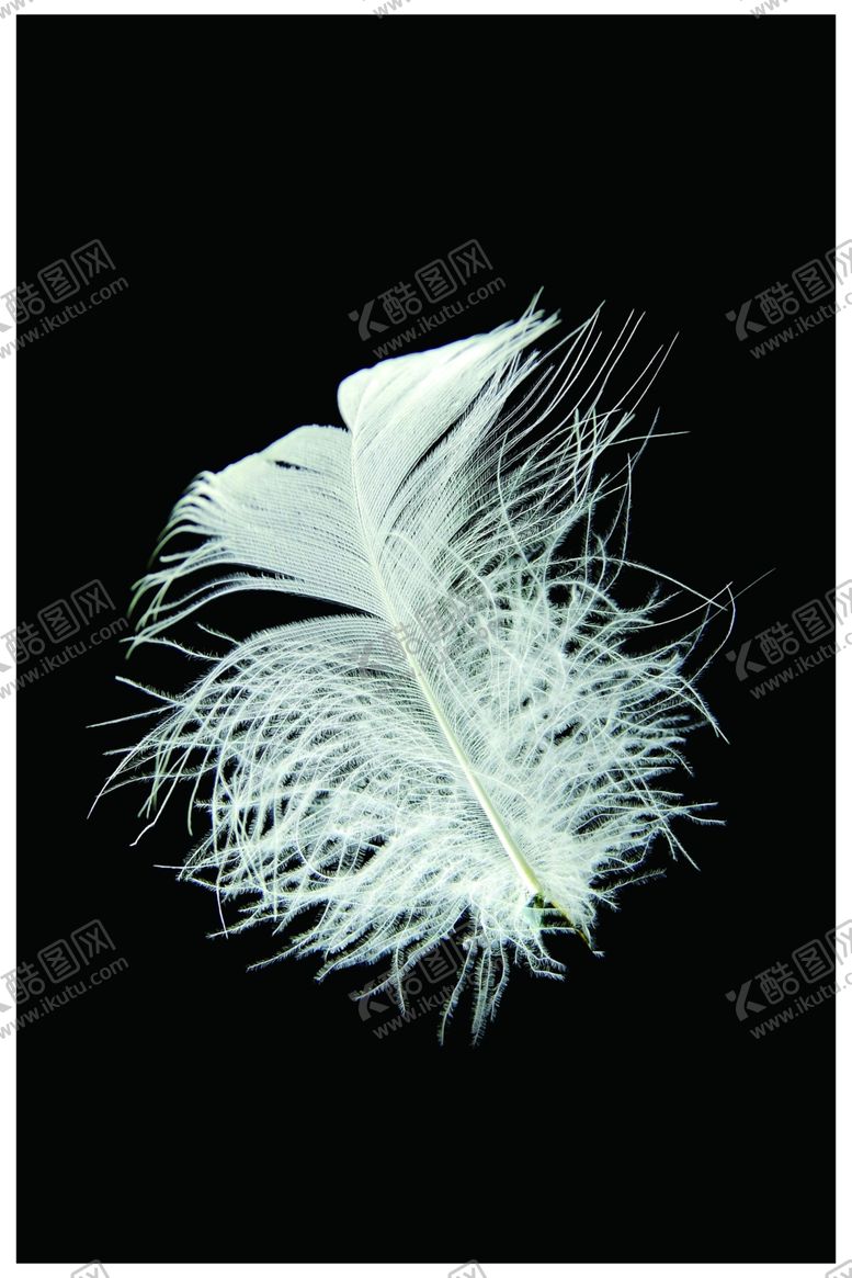 编号：63983209280900109662【酷图网】源文件下载-背景墙装饰画