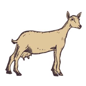 家养动物主题插画