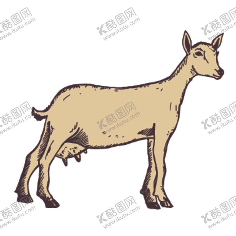 编号：37051605160300243057【酷图网】源文件下载-家养动物主题插画