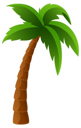 椰树