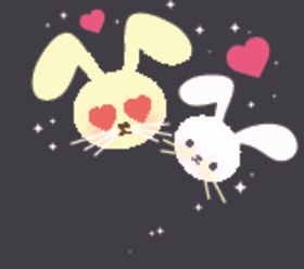 情侣兔子