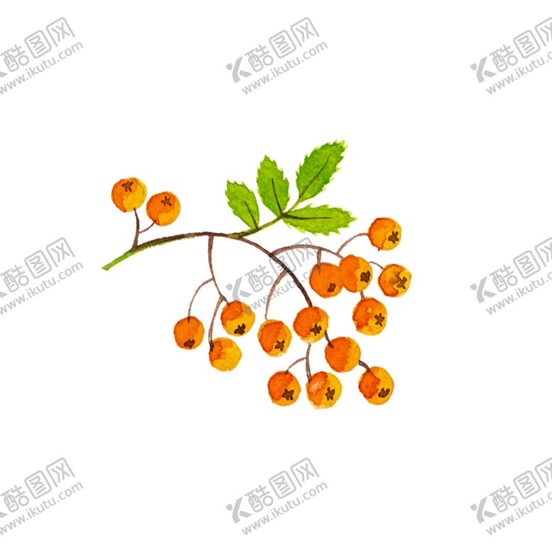 编号：28404407011437289594【酷图网】源文件下载-手绘植物