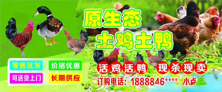 编号：56078902210644255941【酷图网】源文件下载-原生态土鸡土鸭