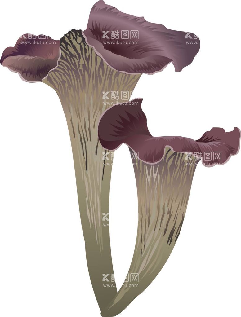 编号：72717711260525467591【酷图网】源文件下载-蘑菇