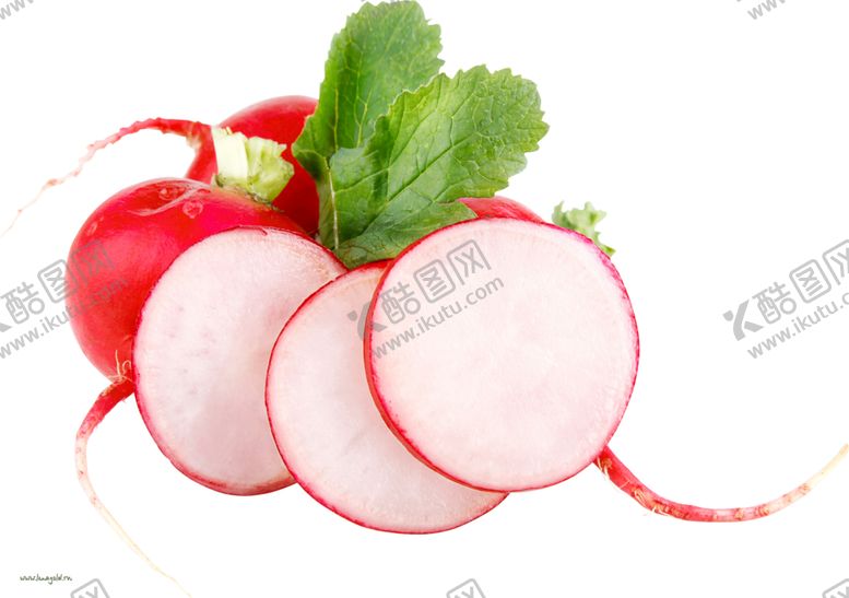 编号：96665009141811521813【酷图网】源文件下载-萝卜