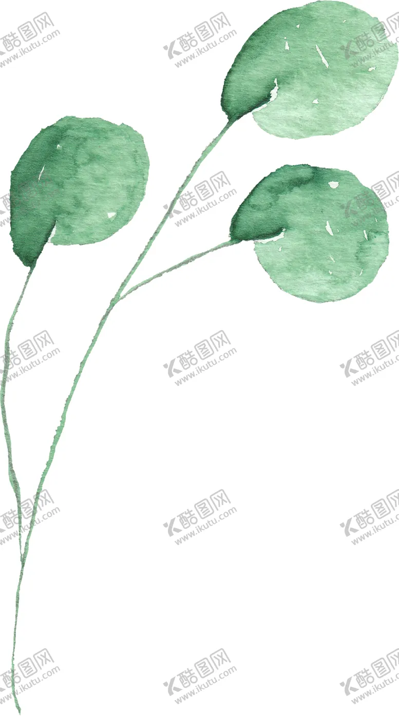 编号：63726307082345475230【酷图网】源文件下载-海报元素花草元素展架元素