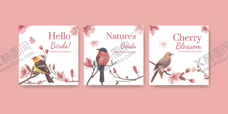 编号：38820204050057412387【酷图网】源文件下载-花鸟背景