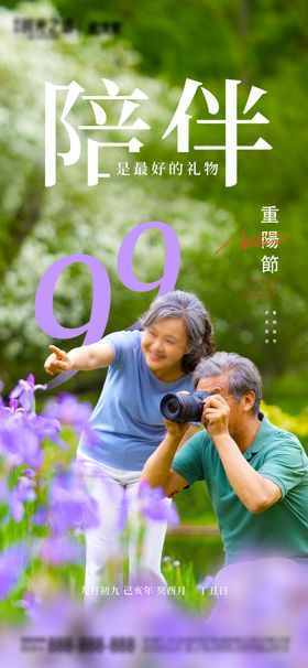 九九宁海报