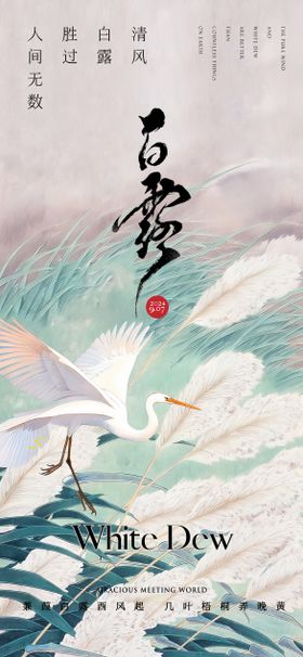 白露节气海报