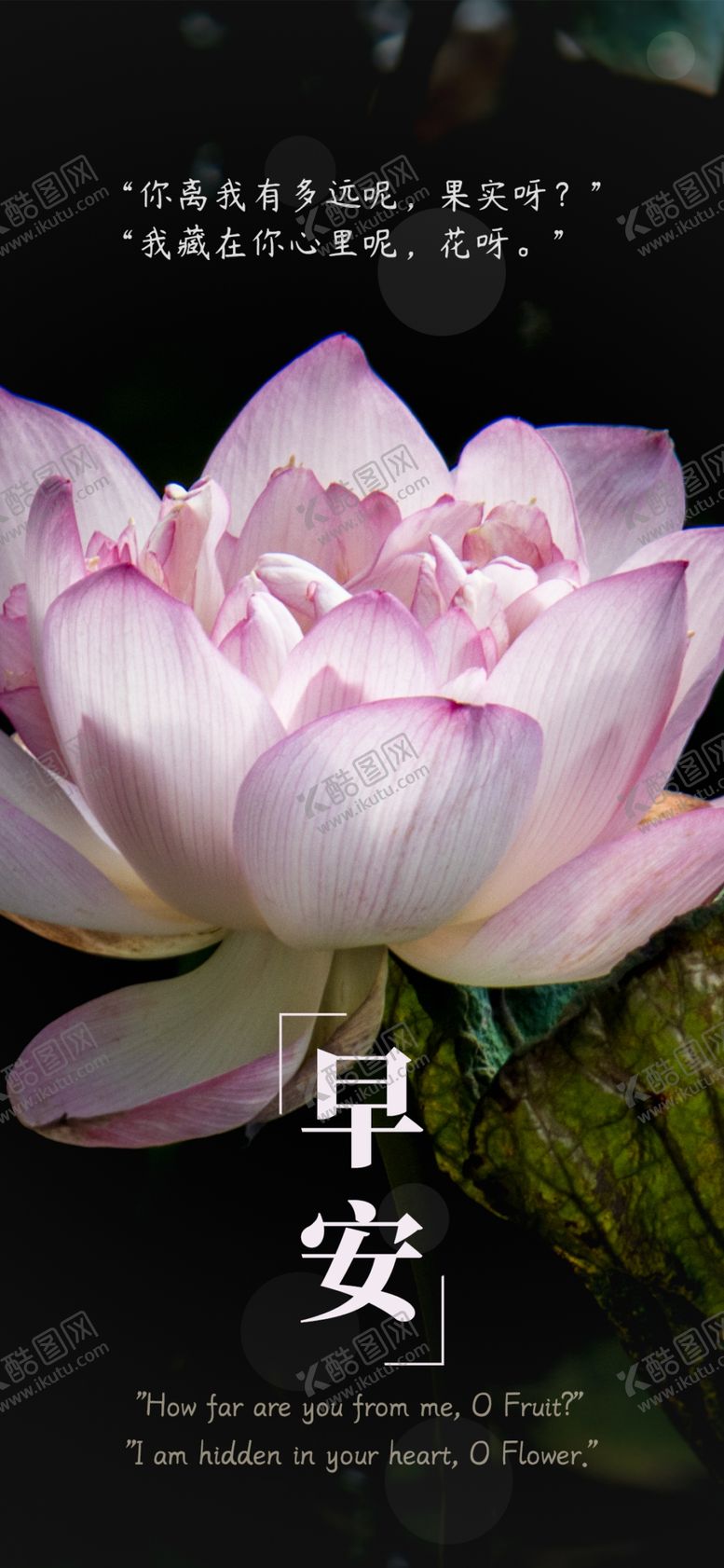 编号：99415607032259471196【酷图网】源文件下载-手机壁纸