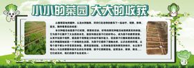 菜园大大的收获