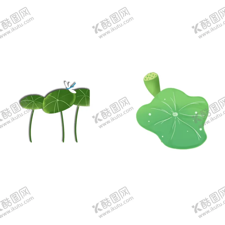 编号：34261406291138321349【酷图网】源文件下载-荷叶