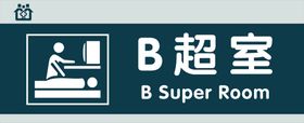 医院B超室日报表