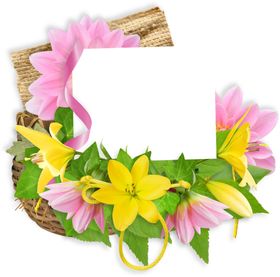 花卉边框