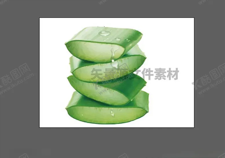 编号：68912604210017501903【酷图网】源文件下载-芦荟矢量