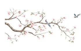 中国风桃花鸟插画