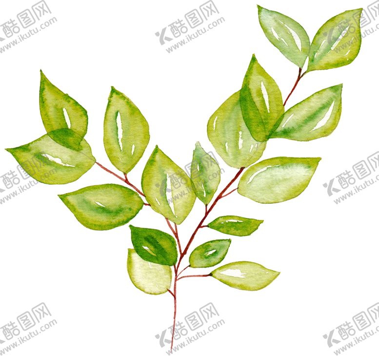 编号：91335806270010448415【酷图网】源文件下载-水彩植物