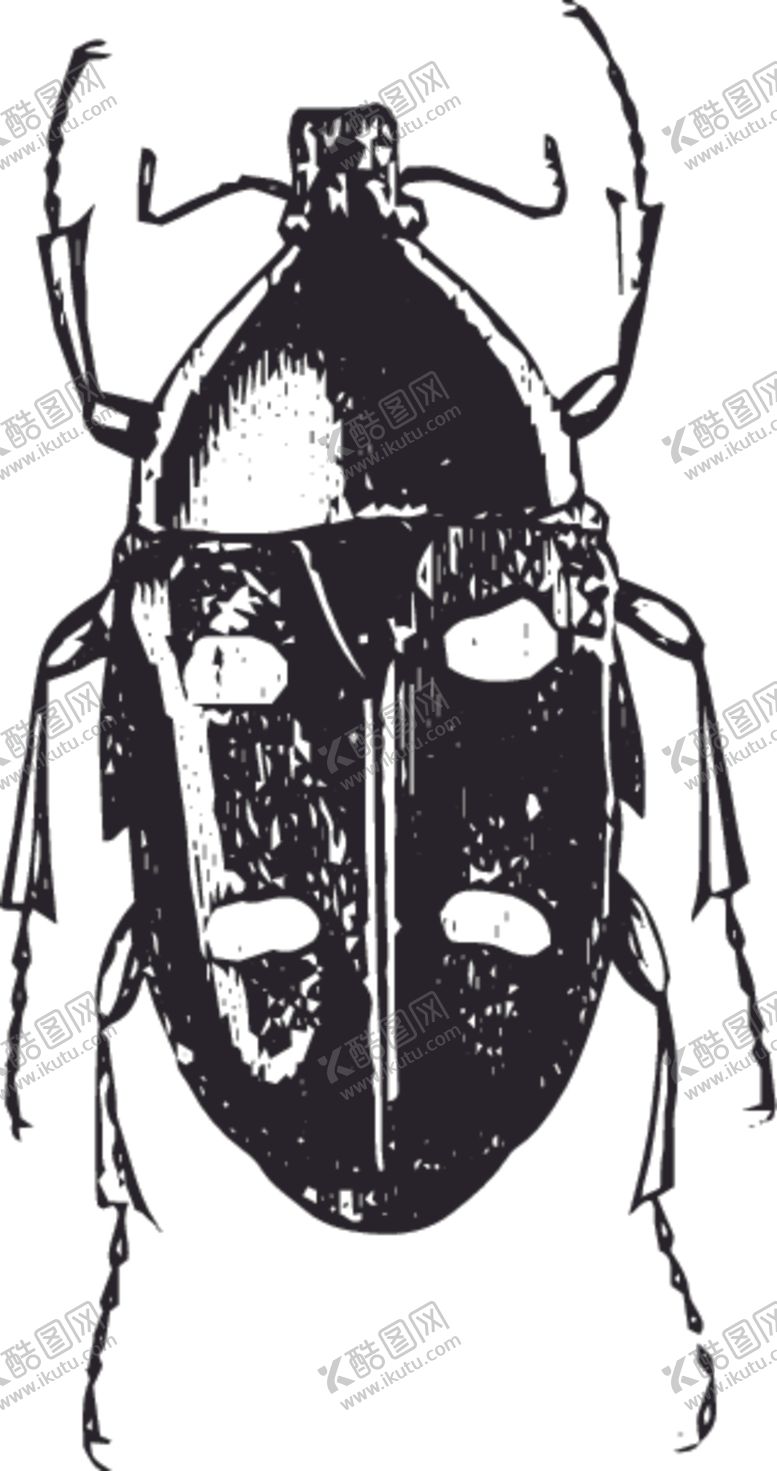编号：91723907071443541490【酷图网】源文件下载-自然昆虫标本插画