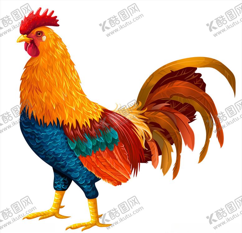 编号：81608010190946269284【酷图网】源文件下载-公鸡