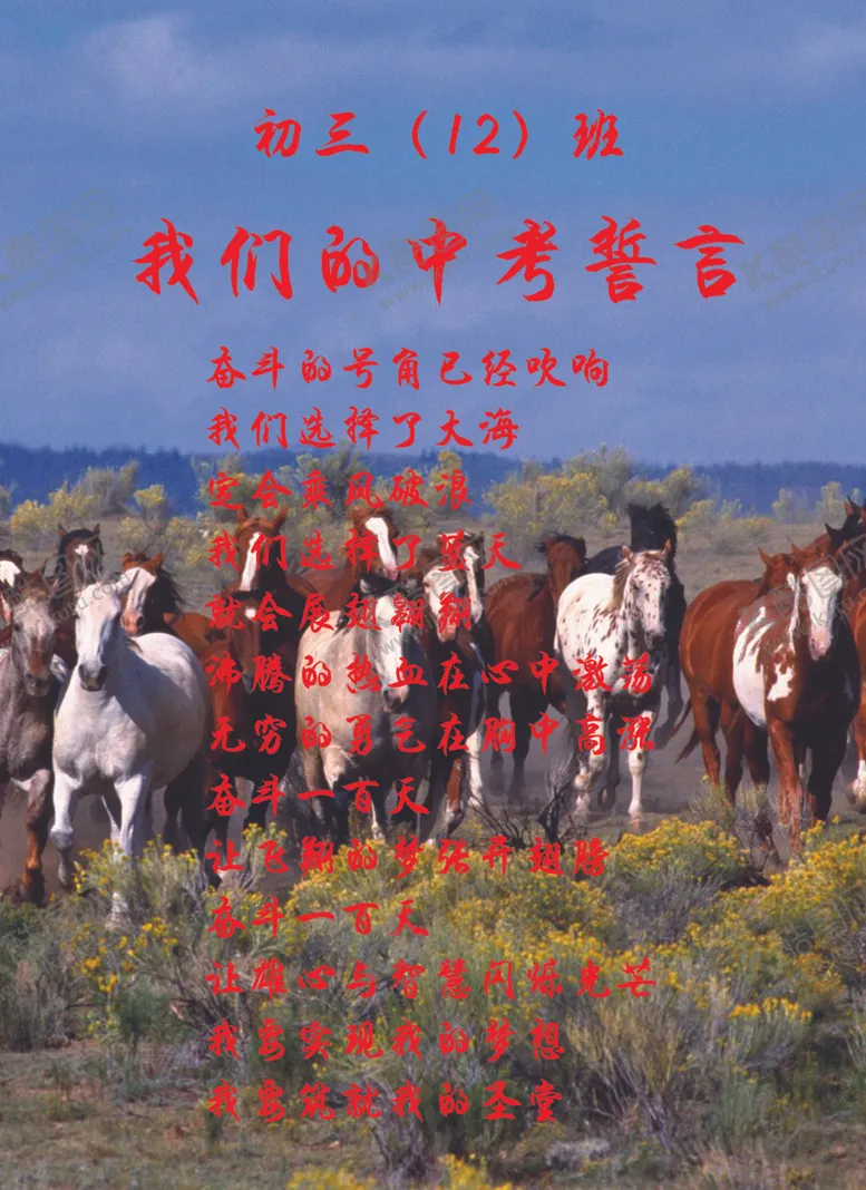 编号：36252402221417085606【酷图网】源文件下载-中考宣誓