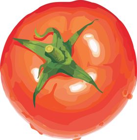 番茄