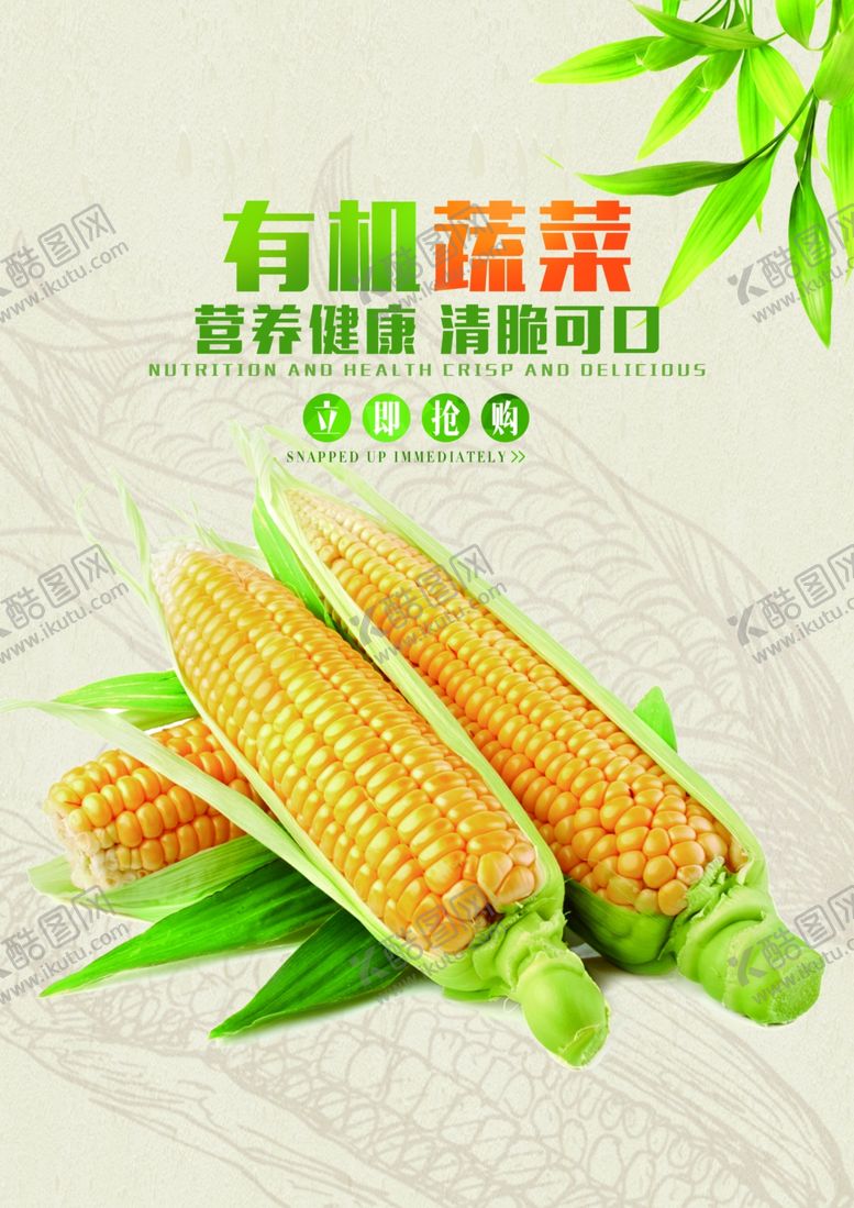 编号：78997610270539591243【酷图网】源文件下载-有机蔬菜海报玉米海报