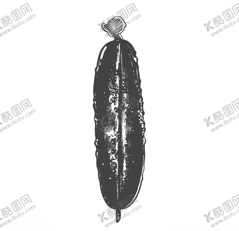 编号：20652707011944046135【酷图网】源文件下载-手绘蔬菜插画