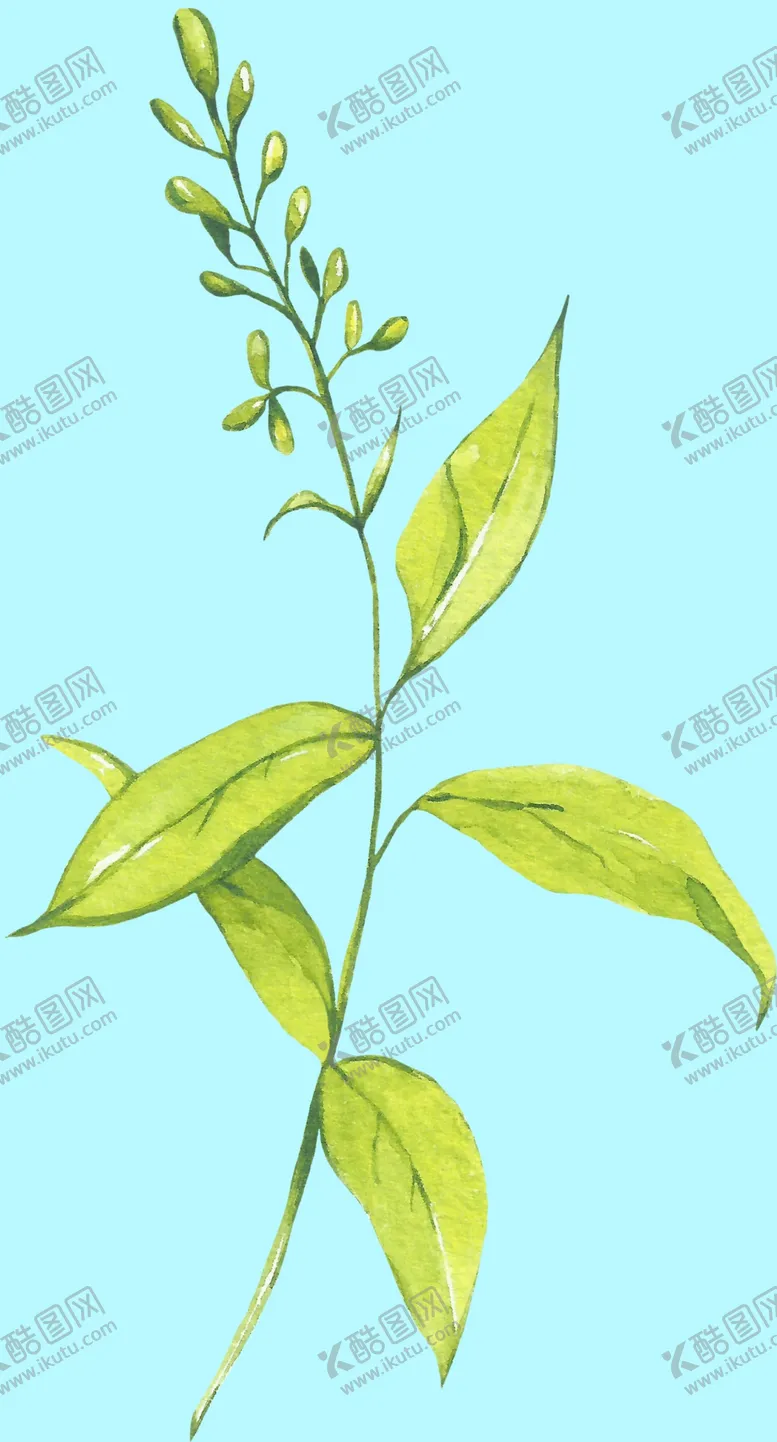 编号：70567606261812405877【酷图网】源文件下载-花卉树叶