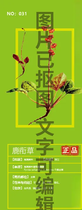 鹿衔草