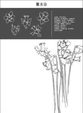矢量中国火箭图谱