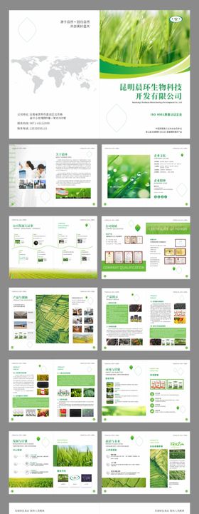 生物科技画册