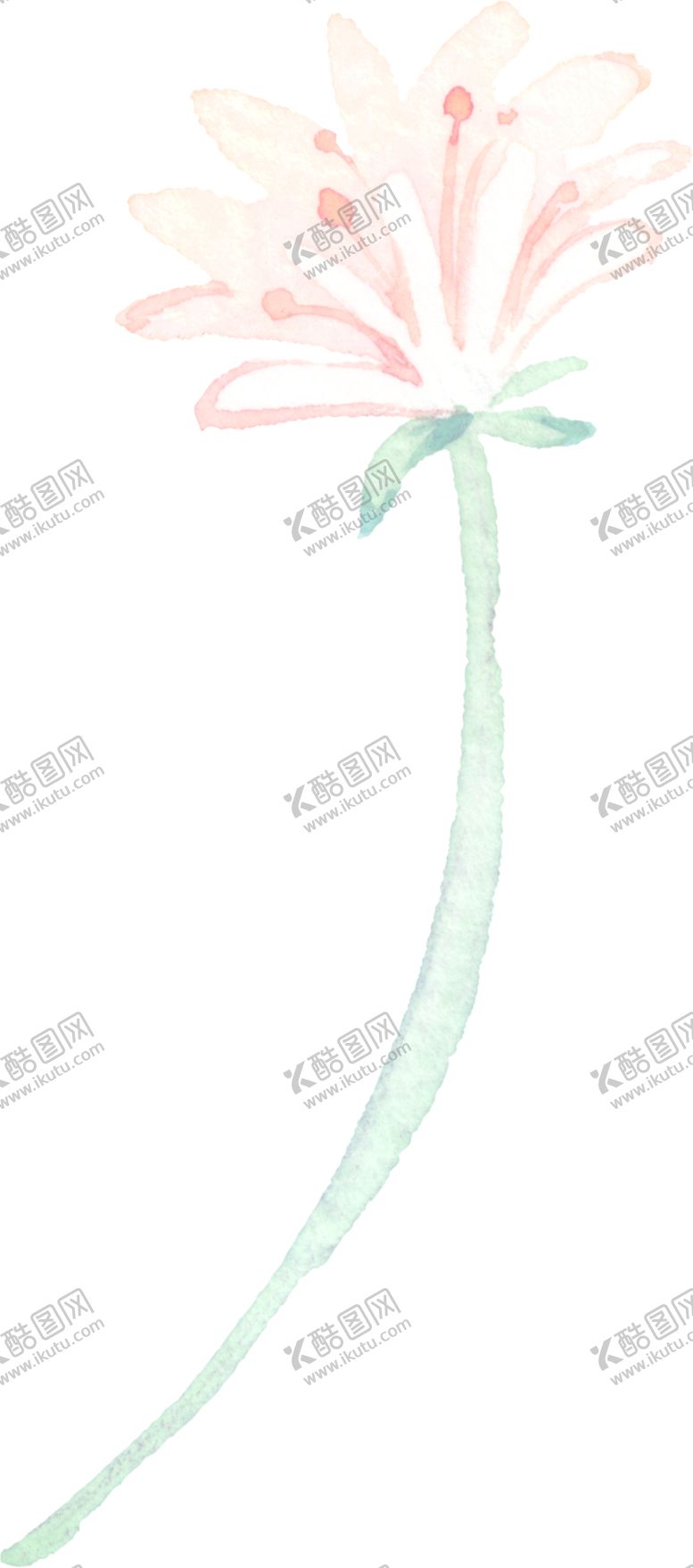 编号：29620605110634231939【酷图网】源文件下载-水彩手绘花卉花朵植物