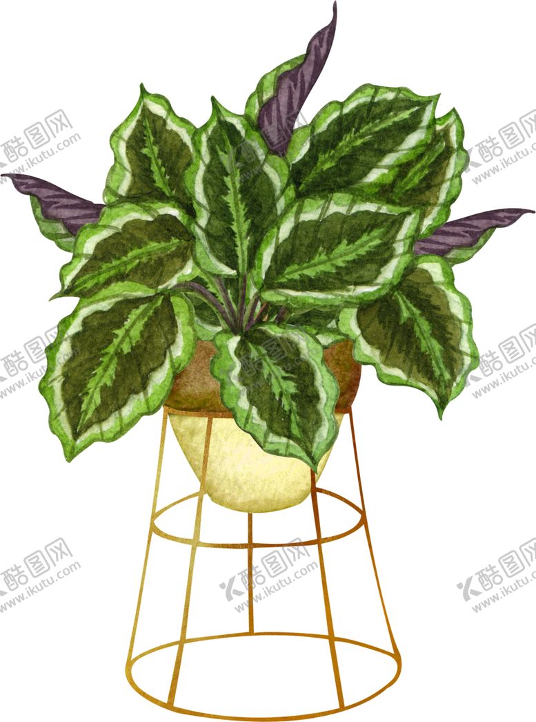 编号：72671610202221464727【酷图网】源文件下载-绿植水彩插画