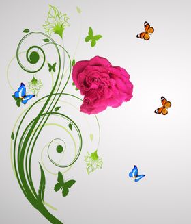 玫瑰花