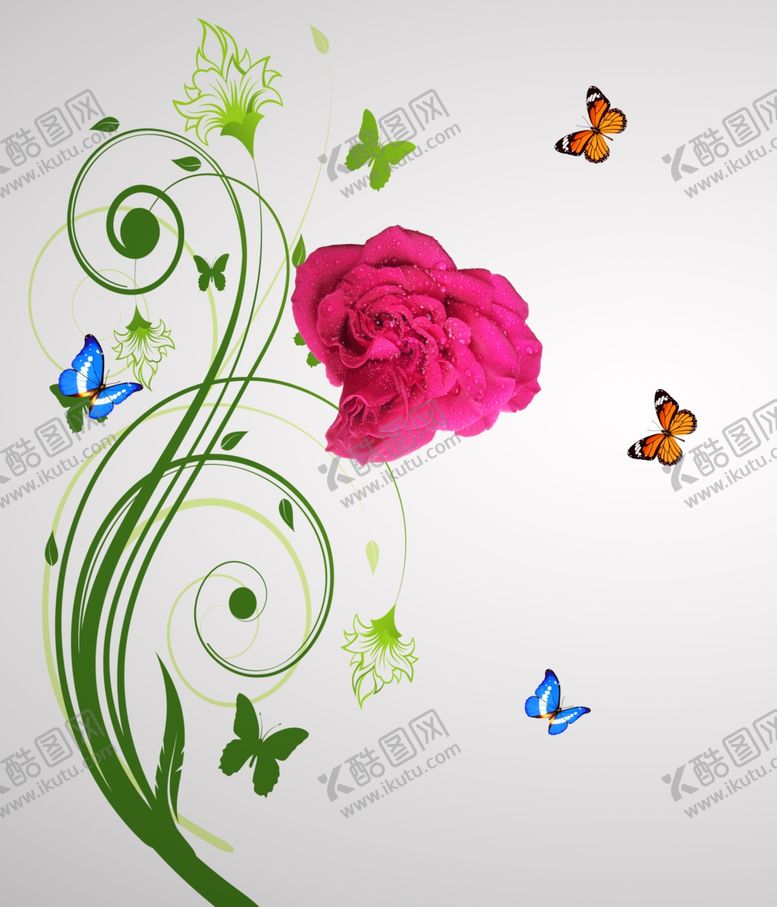 编号：58914206280136519386【酷图网】源文件下载-玫瑰花