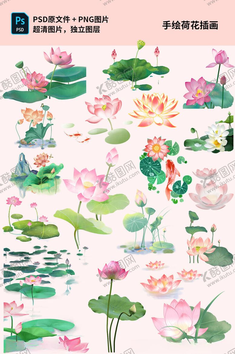 编号：87318802151148405252【酷图网】源文件下载-手绘荷花插画