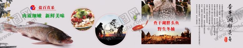 编号：52891310081744565627【酷图网】源文件下载-查干湖胖头鱼