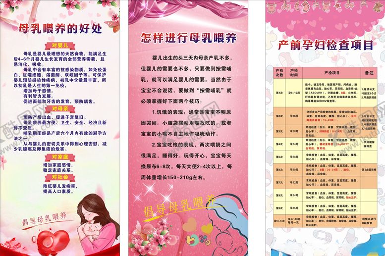 编号：43871309231441116270【酷图网】源文件下载-母乳喂养展架及产孕妇检查项目