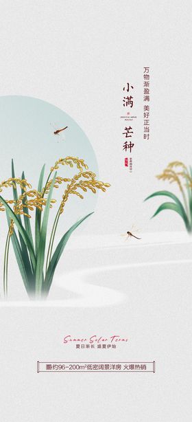 芒种小满节气海报