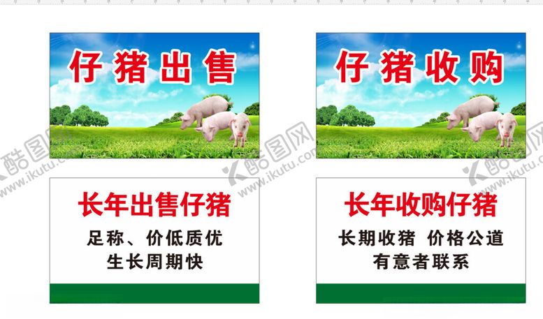 编号：11076202031610443579【酷图网】源文件下载-猪名片