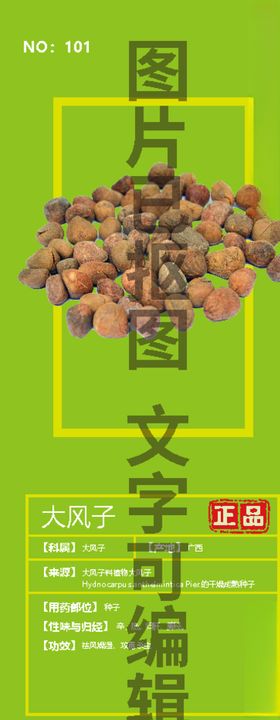 大风子