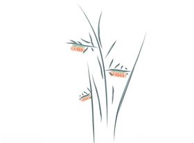 果实