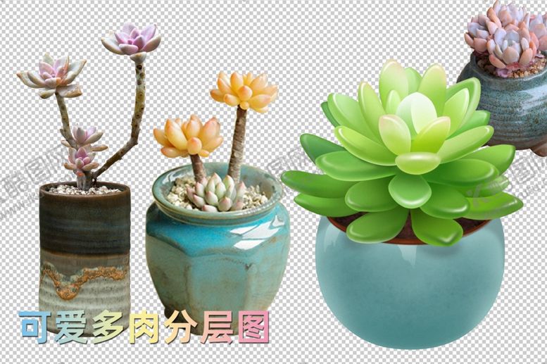 编号：25456110052047399290【酷图网】源文件下载-多肉花盆