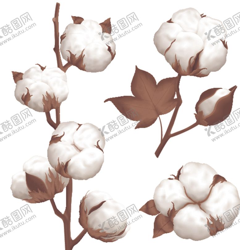 编号：26413109280109184988【酷图网】源文件下载-棉花
