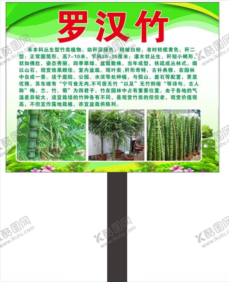 编号：33797007030957252296【酷图网】源文件下载-罗汉竹简介